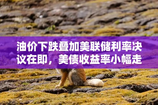 油价下跌叠加美联储利率决议在即，美债收益率小幅走低