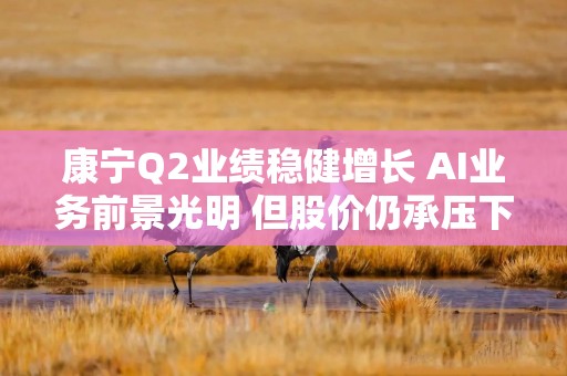 康宁Q2业绩稳健增长 AI业务前景光明 但股价仍承压下跌