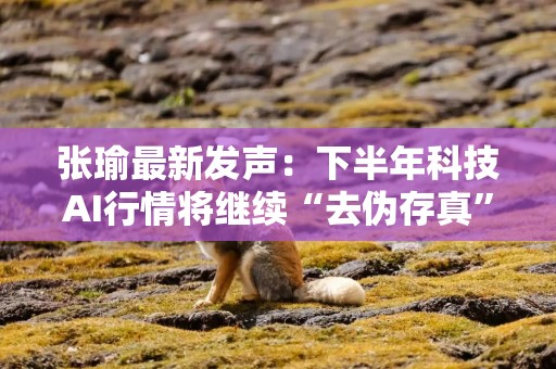 张瑜最新发声：下半年科技AI行情将继续“去伪存真”，黄金逻辑未变，消费有待政策