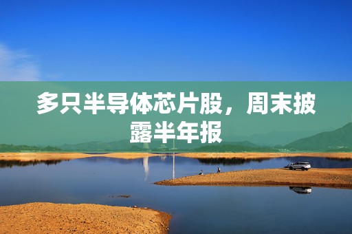 多只半导体芯片股，周末披露半年报