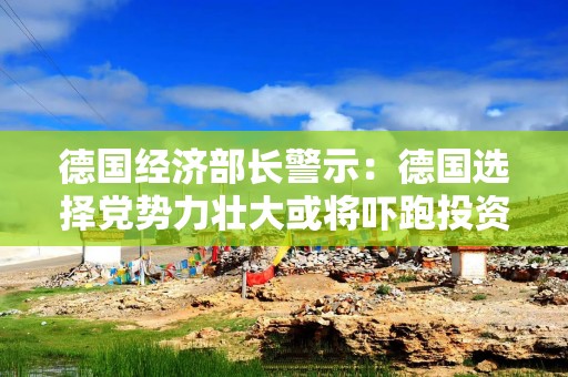 德国经济部长警示：德国选择党势力壮大或将吓跑投资者
