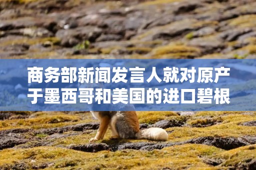 商务部新闻发言人就对原产于墨西哥和美国的进口碧根果反倾销调查初裁答记者问