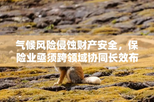 气候风险侵蚀财产安全，保险业亟须跨领域协同长效布局