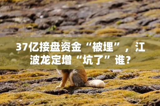 37亿接盘资金“被埋”，江波龙定增“坑了”谁？