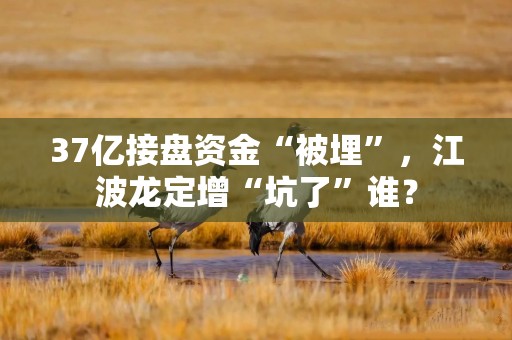 37亿接盘资金“被埋”，江波龙定增“坑了”谁？