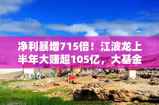 净利暴增715倍！江波龙上半年大赚超105亿，大基金在内多个股东减持