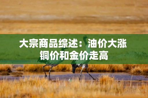 大宗商品综述：油价大涨 铜价和金价走高