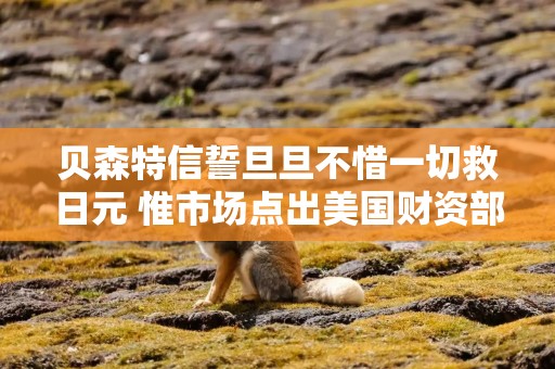 贝森特信誓旦旦不惜一切救日元 惟市场点出美国财资部囊中羞涩