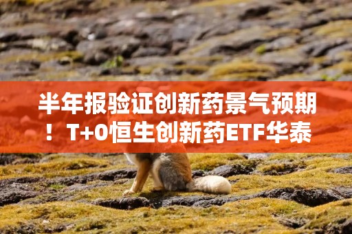 半年报验证创新药景气预期！T+0恒生创新药ETF华泰柏瑞（520500）聚焦产业链复苏机遇