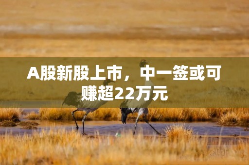 A股新股上市，中一签或可赚超22万元