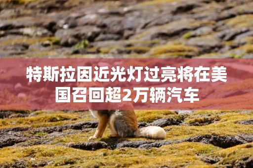 特斯拉因近光灯过亮将在美国召回超2万辆汽车