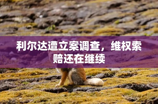 利尔达遭立案调查，维权索赔还在继续