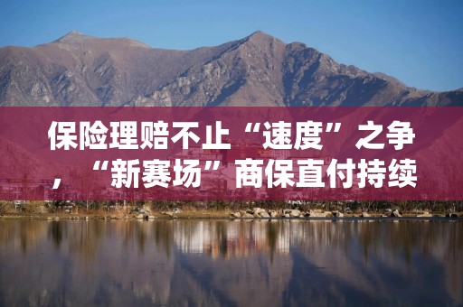 保险理赔不止“速度”之争，“新赛场”商保直付持续下沉、赔付卷向“无感”