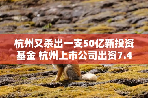杭州又杀出一支50亿新投资基金 杭州上市公司出资7.48亿