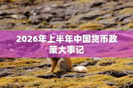 2026年上半年中国货币政策大事记