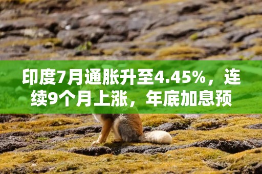 印度7月通胀升至4.45%，连续9个月上涨，年底加息预期升温