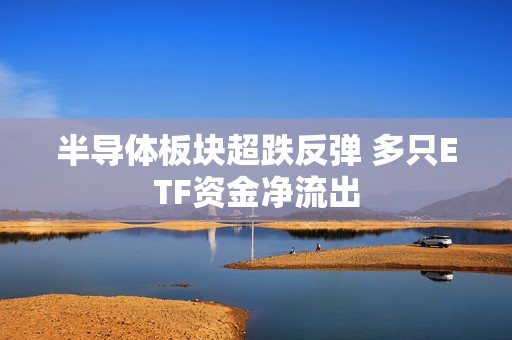 半导体板块超跌反弹 多只ETF资金净流出