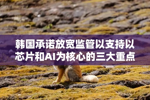 韩国承诺放宽监管以支持以芯片和AI为核心的三大重点项目