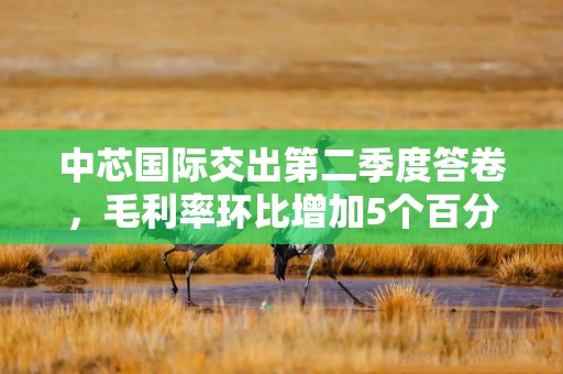 中芯国际交出第二季度答卷，毛利率环比增加5个百分点