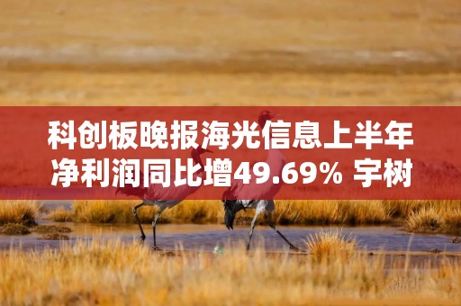 科创板晚报海光信息上半年净利润同比增49.69% 宇树科技8734股遭弃购