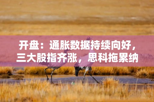 开盘：通胀数据持续向好，三大股指齐涨，思科拖累纳指