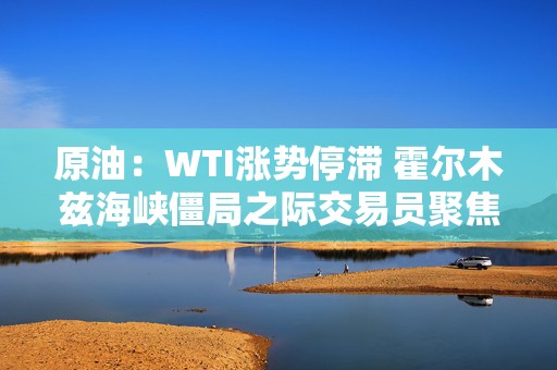 原油：WTI涨势停滞 霍尔木兹海峡僵局之际交易员聚焦石油运量