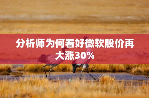 分析师为何看好微软股价再大涨30%