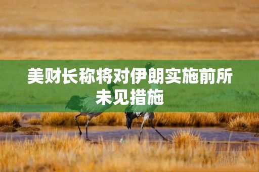 美财长称将对伊朗实施前所未见措施