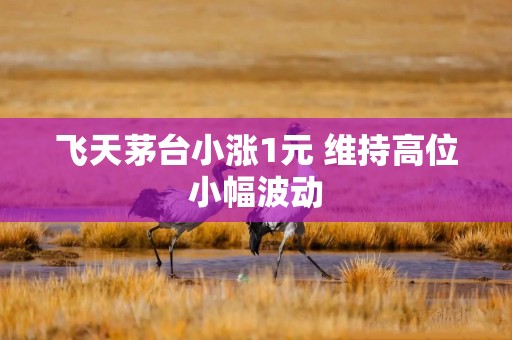 飞天茅台小涨1元 维持高位小幅波动