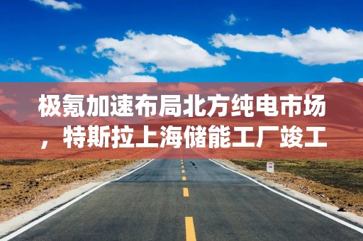 极氪加速布局北方纯电市场，特斯拉上海储能工厂竣工 | 第一财经汽车日评