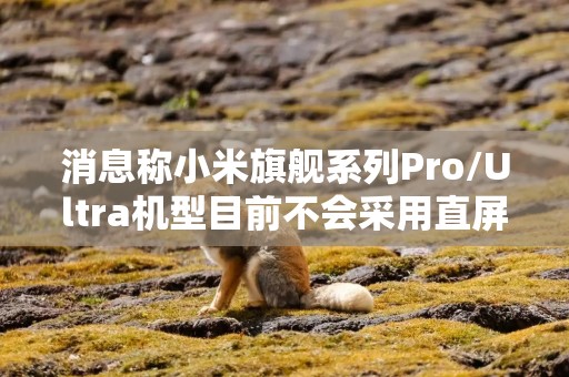 消息称小米旗舰系列Pro/Ultra机型目前不会采用直屏设计