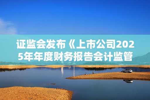 证监会发布《上市公司2025年年度财务报告会计监管报告》 不断完善上市公司财务信息披露监管工作机制