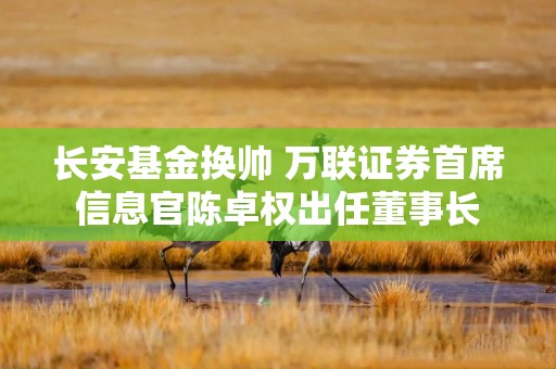 长安基金换帅 万联证券首席信息官陈卓权出任董事长