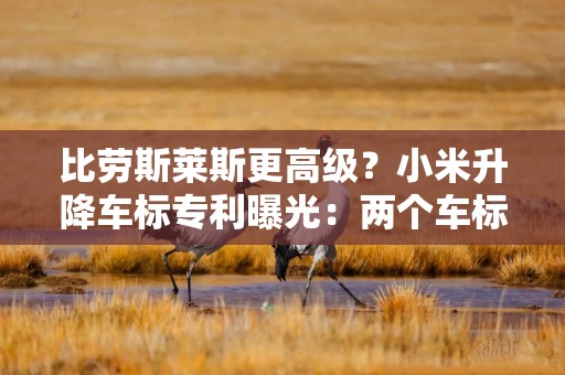 比劳斯莱斯更高级？小米升降车标专利曝光：两个车标自由切换