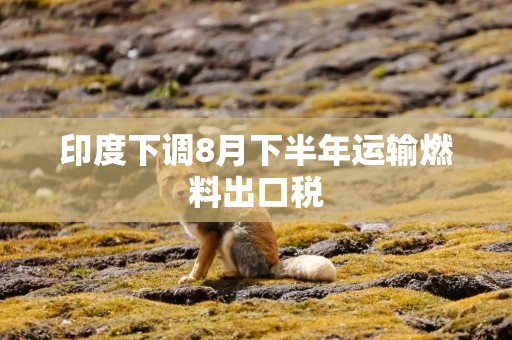 印度下调8月下半年运输燃料出口税