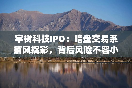 宇树科技IPO：暗盘交易系捕风捉影，背后风险不容小觑