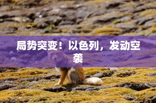 局势突变！以色列，发动空袭