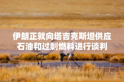 伊朗正就向塔吉克斯坦供应石油和过剩燃料进行谈判