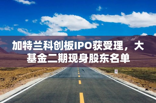 加特兰科创板IPO获受理，大基金二期现身股东名单