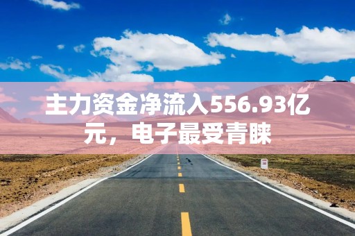 主力资金净流入556.93亿元，电子最受青睐