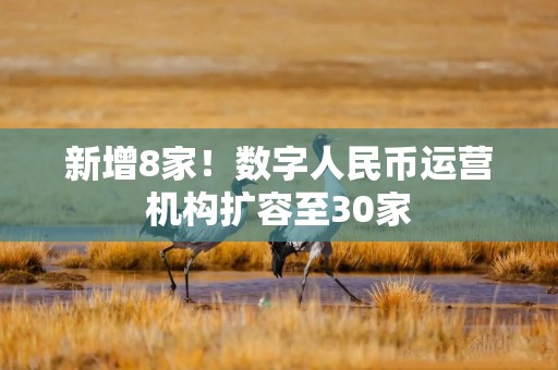 新增8家！数字人民币运营机构扩容至30家