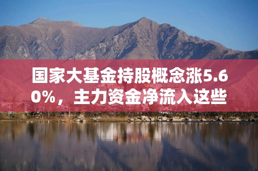 国家大基金持股概念涨5.60%，主力资金净流入这些股