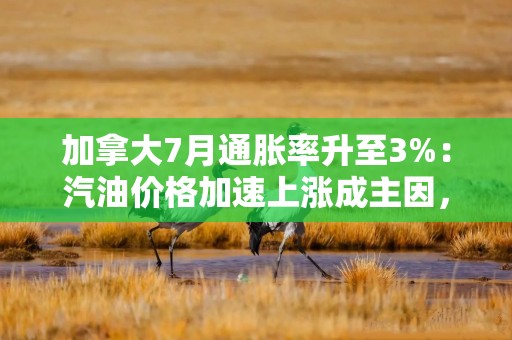 加拿大7月通胀率升至3%：汽油价格加速上涨成主因，核心通胀仍贴近目标