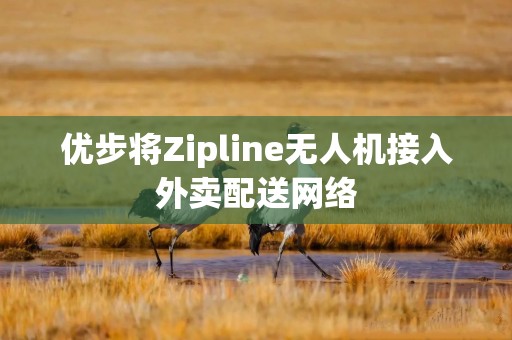 优步将Zipline无人机接入外卖配送网络