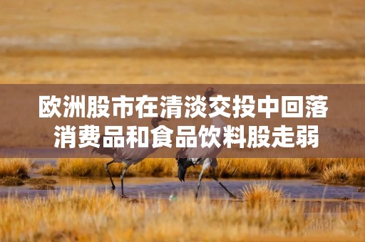欧洲股市在清淡交投中回落 消费品和食品饮料股走弱