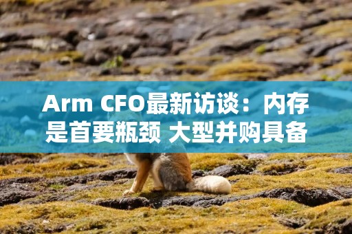 Arm CFO最新访谈：内存是首要瓶颈 大型并购具备可行性