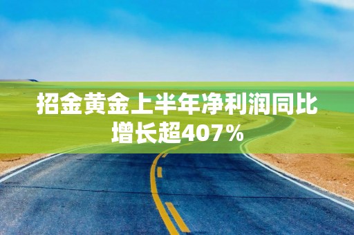 招金黄金上半年净利润同比增长超407%