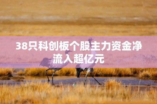 38只科创板个股主力资金净流入超亿元