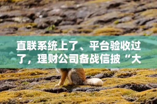 直联系统上了、平台验收过了，理财公司备战信披“大考”