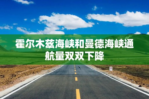 霍尔木兹海峡和曼德海峡通航量双双下降